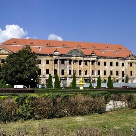 Apartamento M.S. Piccolo Żary Exterior foto