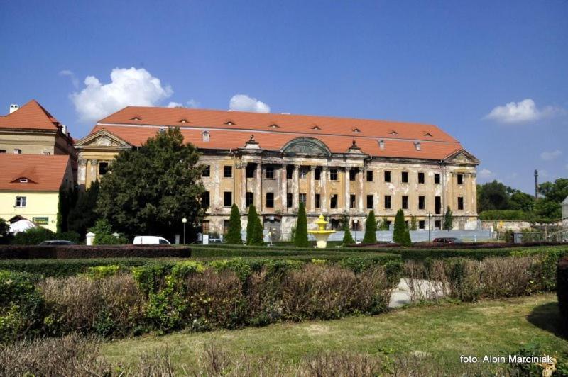 Apartamento M.S. Piccolo Żary Exterior foto